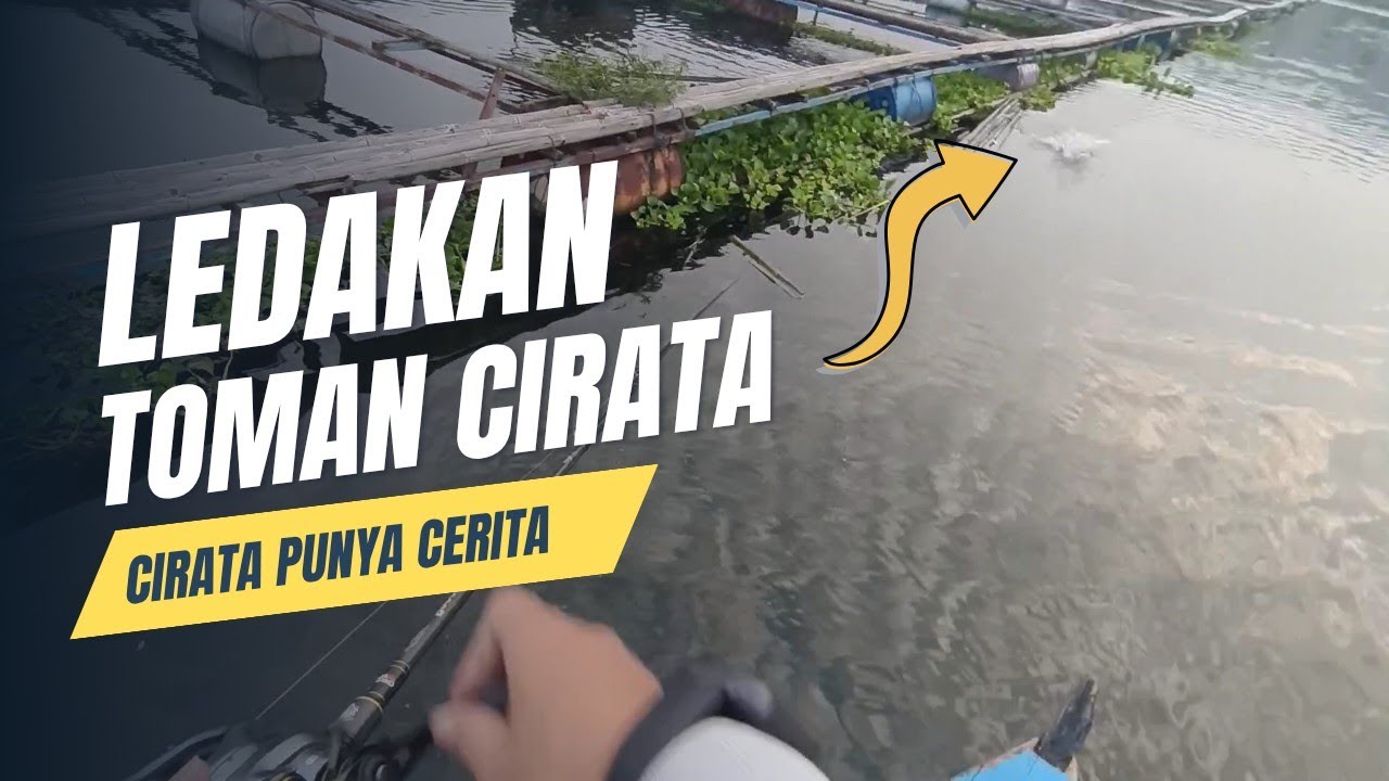 🎣 Serunya Mancing Casting Ikan Toman di Waduk Cirata – Strike Toman Monster!