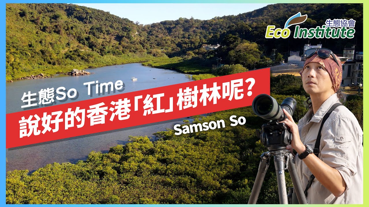 【生態So Time】香港紅樹林︱說好的「紅」色呢？︱秋茄︱木欖︱海漆︱桐花樹｜Ep.5 (繁中字幕)