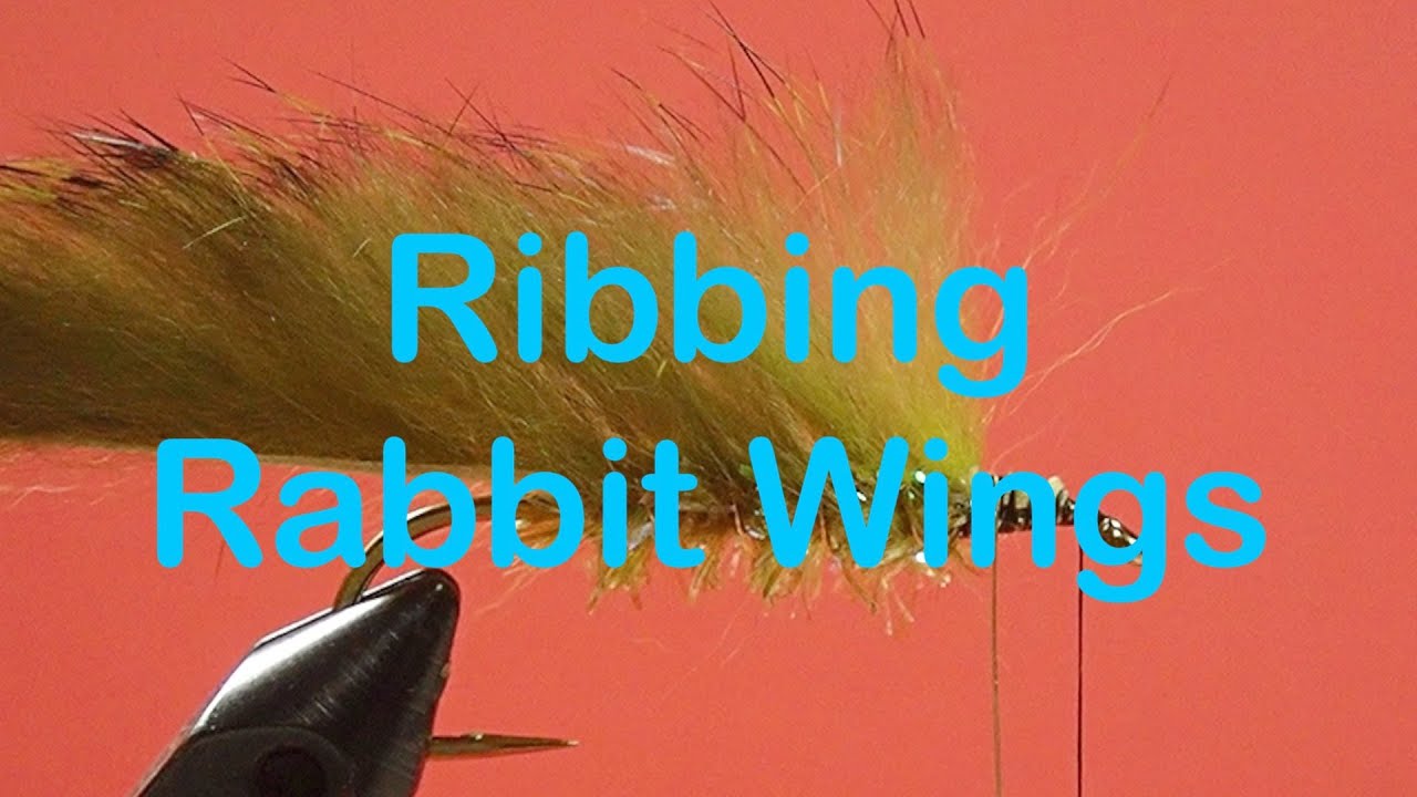 Beginner's Fly Tying Series: Tricks & Troubles: Ribbing a Rabbit Strip Wing
