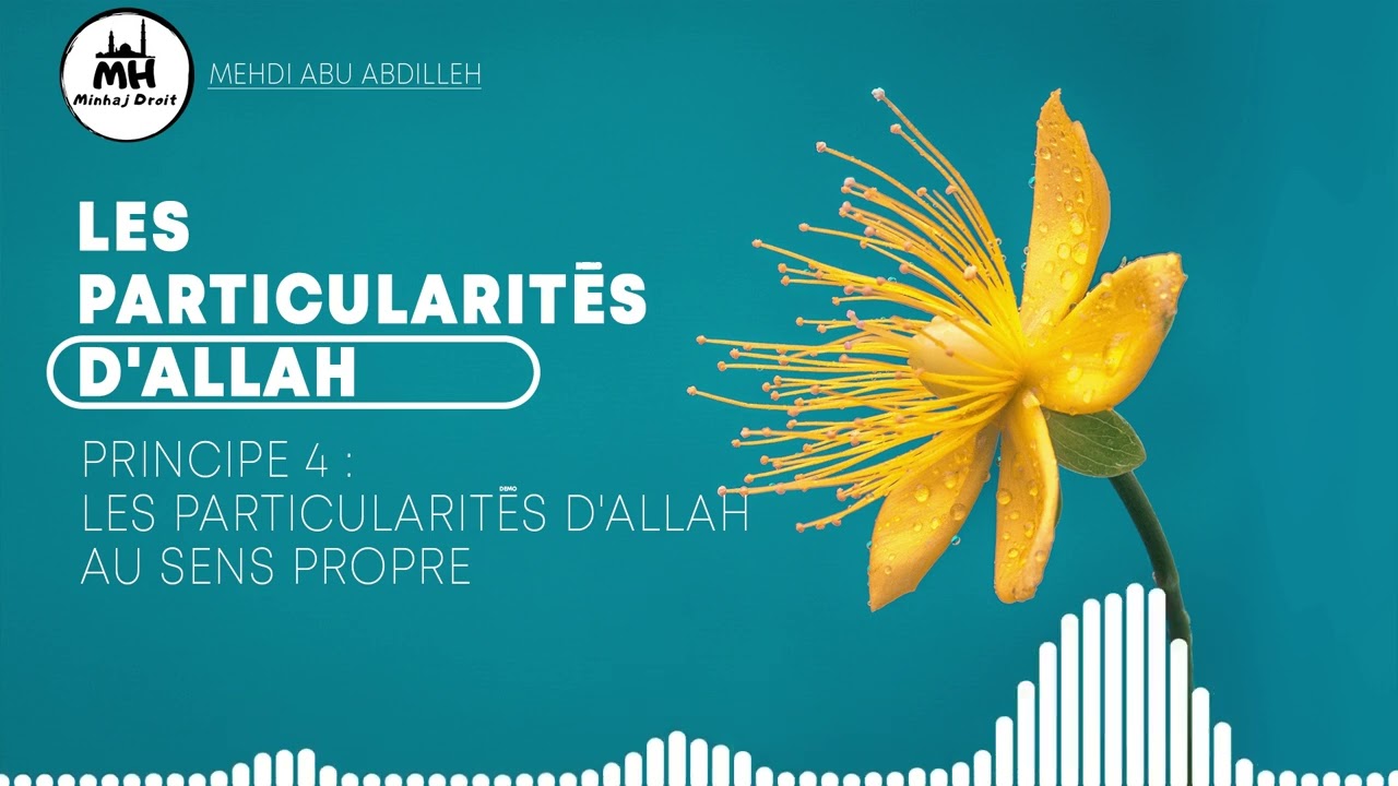 détails du sens propre des particularités d'Allah