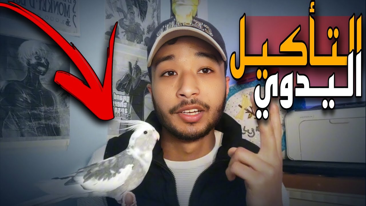 الطيران الحر للطيور  .....  هدشي لي خصك تعرف 👌