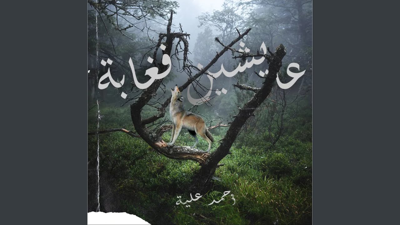 عايشين فغابة