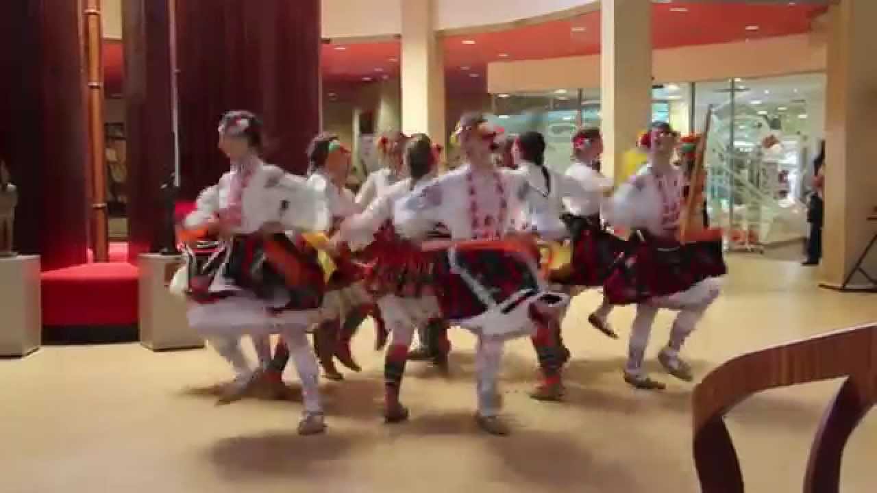 Plamache in Strasbourg 3