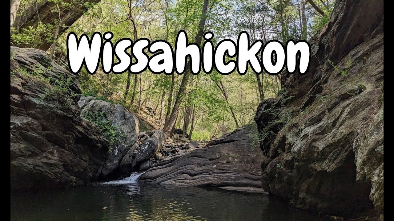 Wissahickon Valley Park: Philadelphia's Scenic Outdoor Oasis