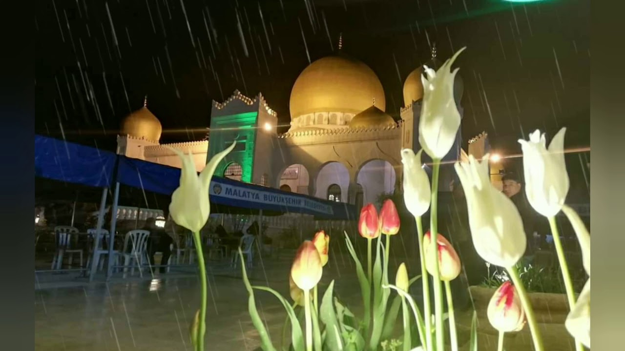 Mecnunum Derdime Derman Gerekmez, Dert Bize Dermandır Aman Gerekmez.