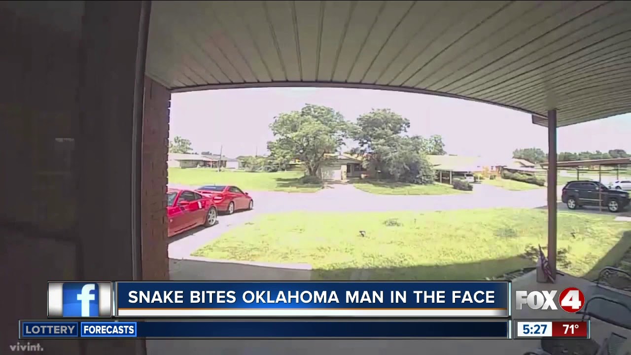 Caught on camera: snake bites Oklahoma man in the face