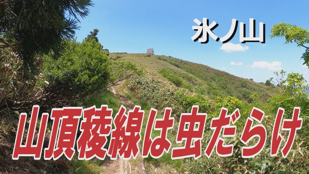 氷ノ山山頂から三ノ丸までの稜線は虫だらけ！
