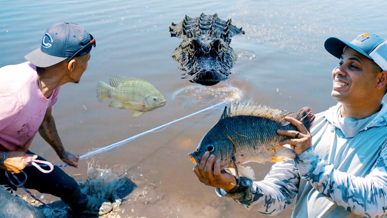 Pesca de Lagartos y Tilapias | Pesca y Cocina
