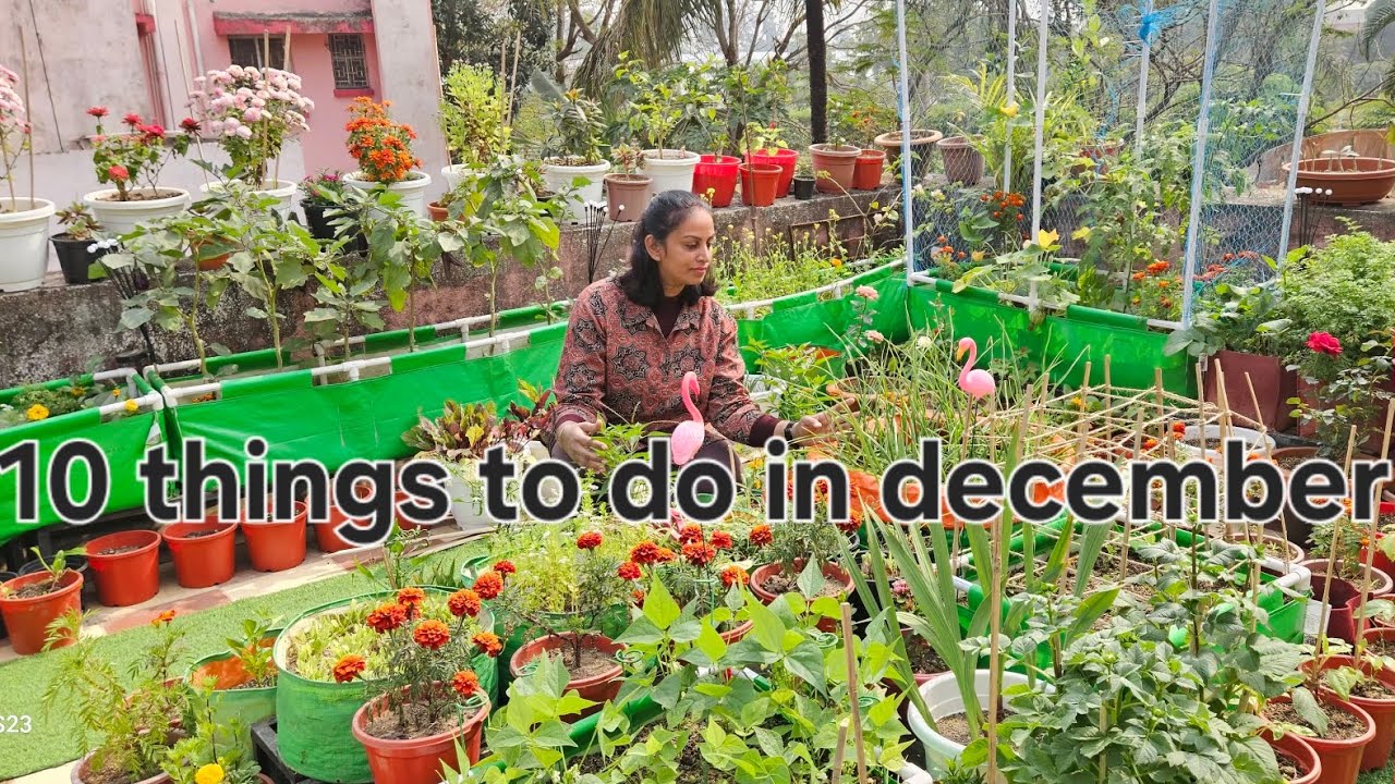 10 important things to do in december,दस एसे काम जो अभी करें 