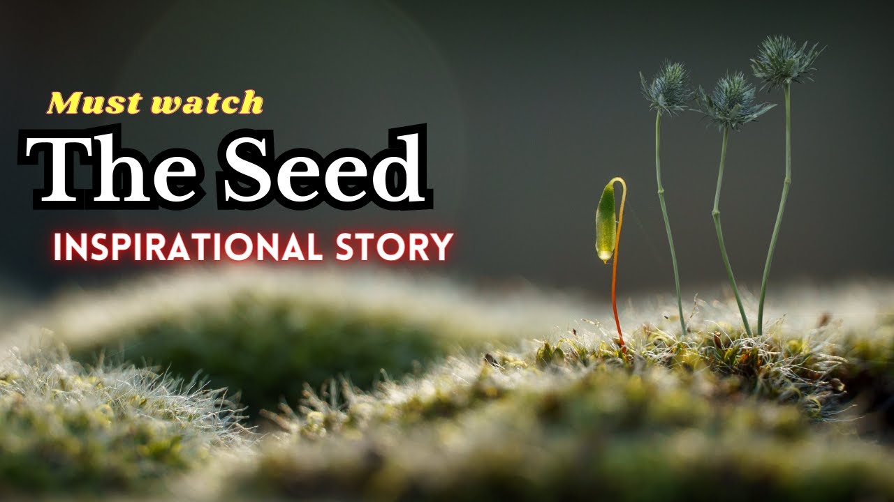 THE SEED // Inspirational Short story #motivation #dontgiveup #success #quotes #inspiration #viral