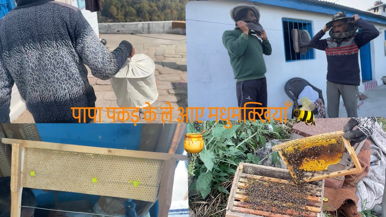 BEE HOUSE🐝🏠#honeyfarming #honey #honeybee #farming #madhumakhi #abhaybelwal #vlog#viral #youtube