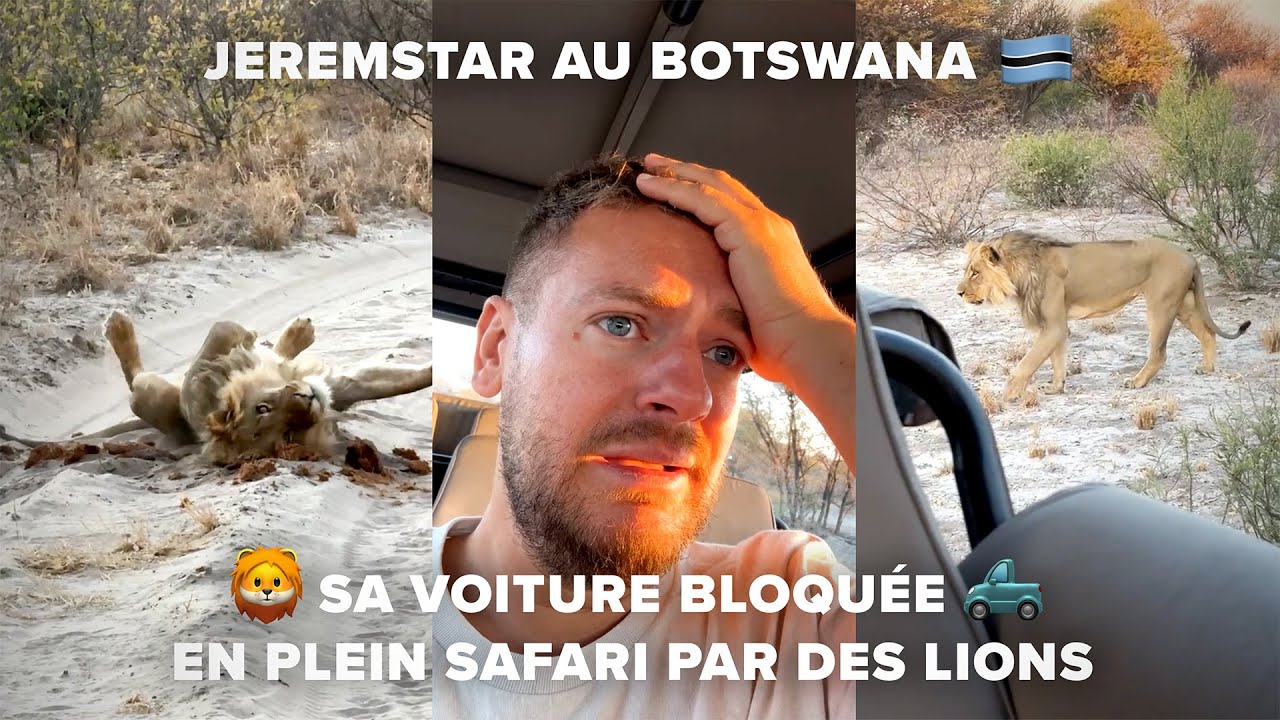 JEREMSTAR AU BOTSWANA 🇧🇼, SA VOITURE BLOQUÉE EN PLEIN SAFARI PAR LIONS