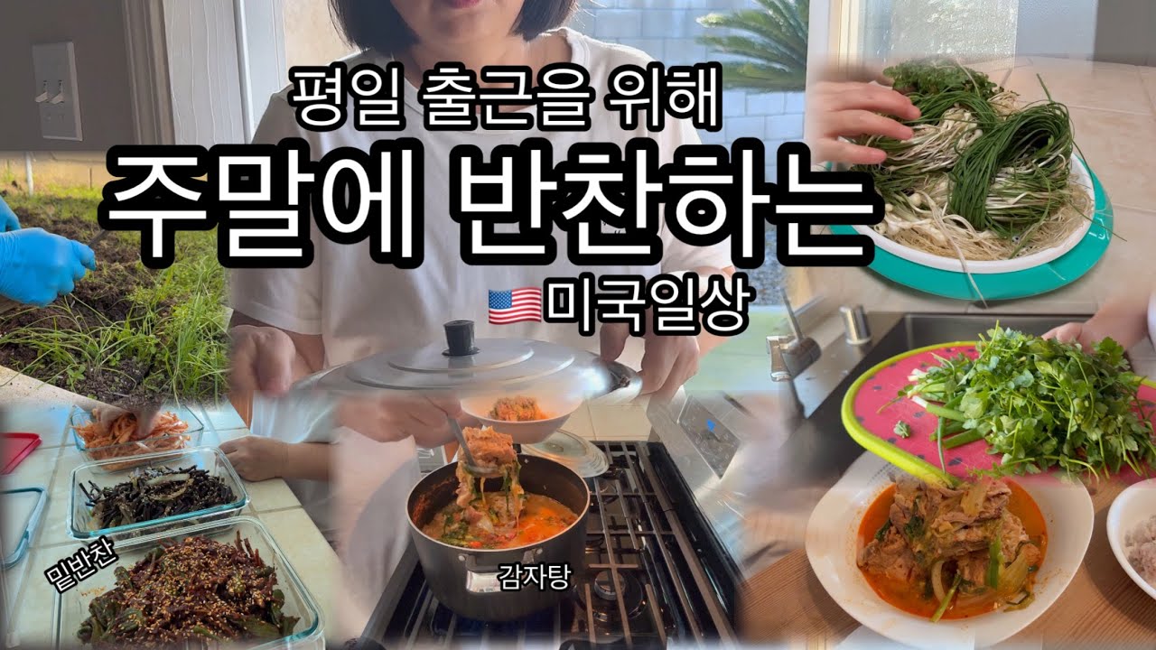 🇺🇸 미국 일상 브이로그 — 주말 준비로 일주일 버틴다 (도시락 반찬/감자탕으로 재충전/뒷마당에서 달래 대량 수확)