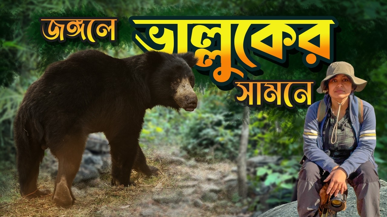 🐻🐆 ছত্তিশগড়ের অফবিট অরণ্যে | Barnawapara Wildlife Sanctuary - Chhattisgarh