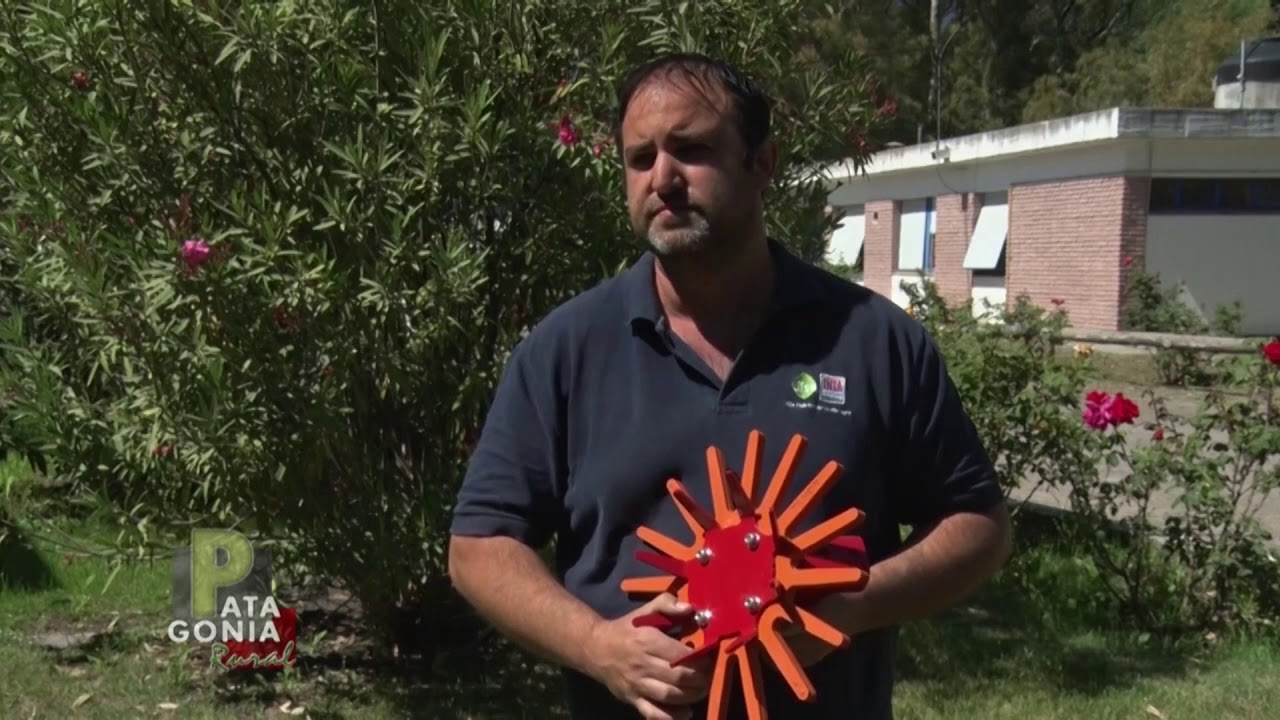 Carpidor de dedos