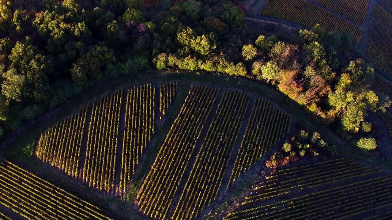 Survol du Beaujolais par drone.