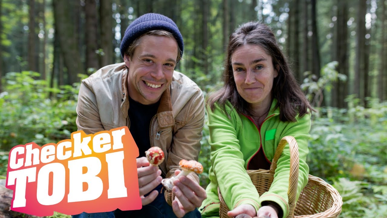 Der Pilz-Check | Reportage f&uuml;r Kinder | Checker Tobi