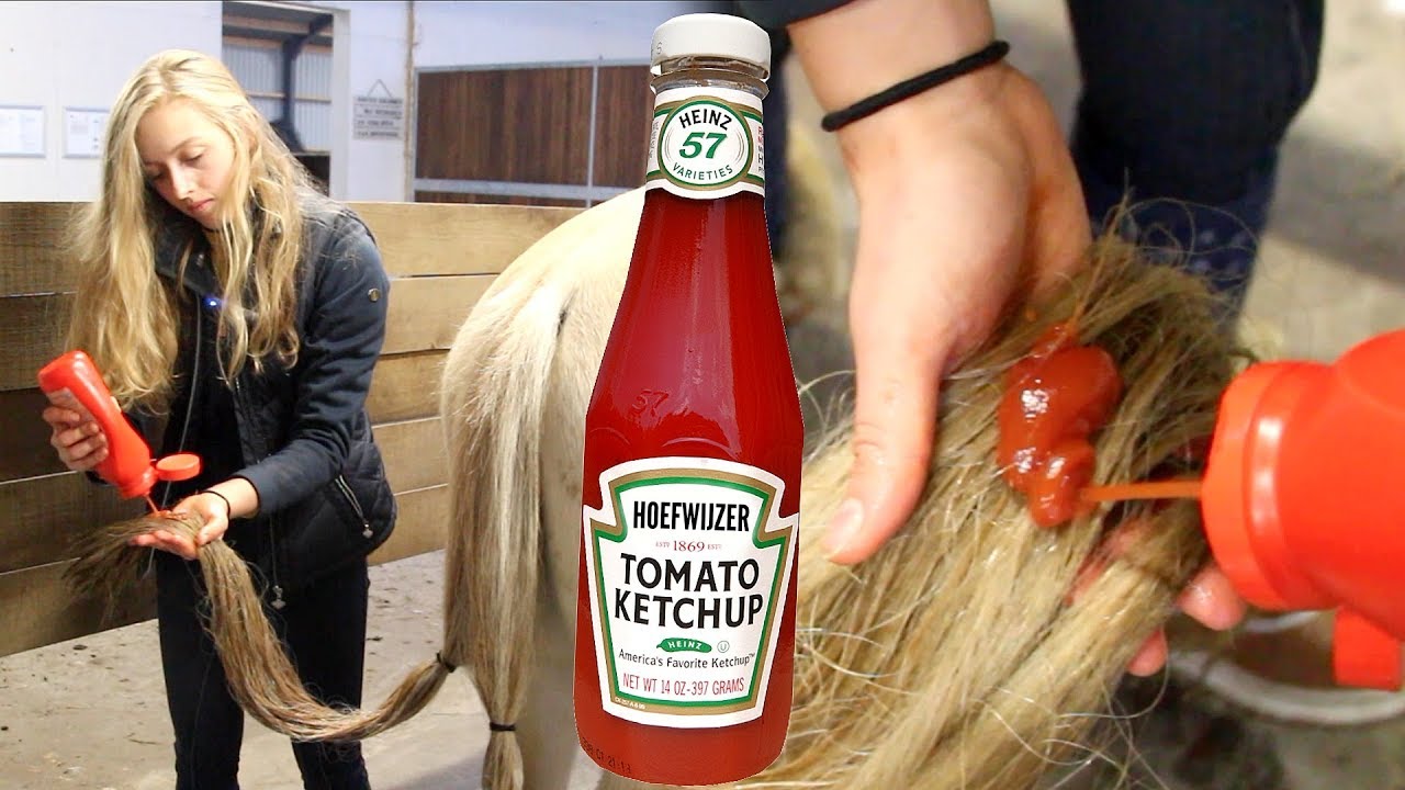 Maakt KETCHUP de staart van je paard WITTER? | ProefWijzer