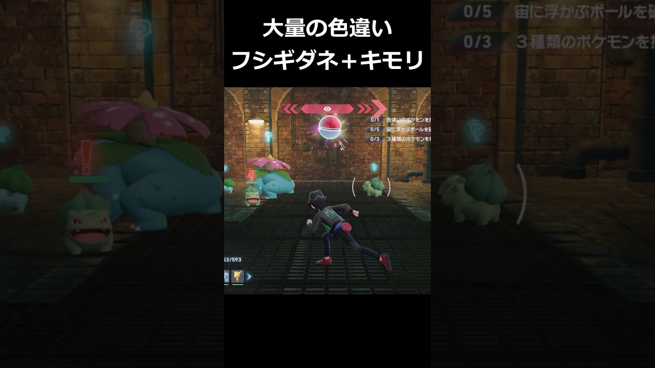 色違いフシギダネ大量発生!!＋色違いキモリ!! 