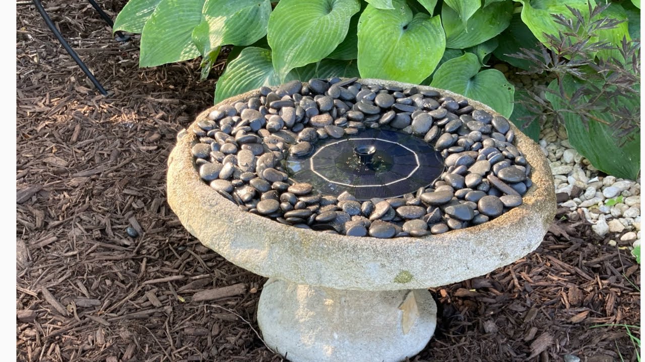 Butterfly puddling station
