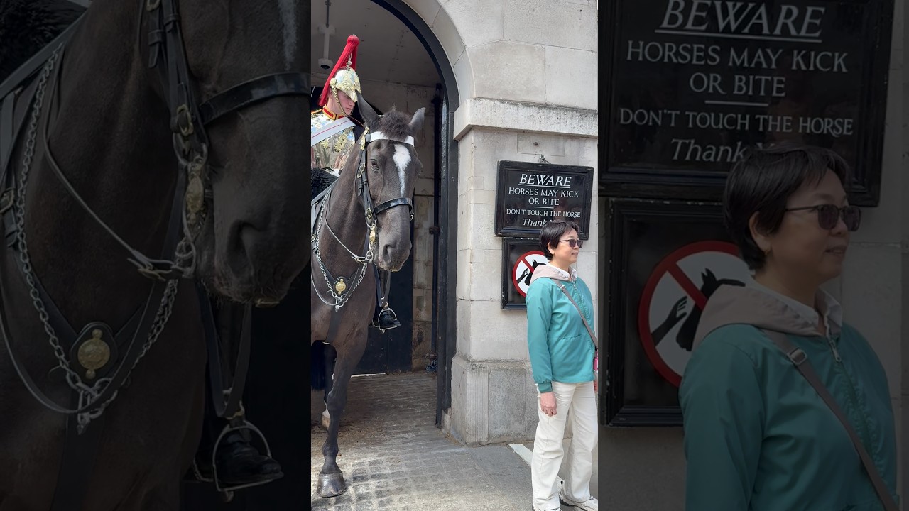 At Horse Guards #london #tourist #respect #history #horse