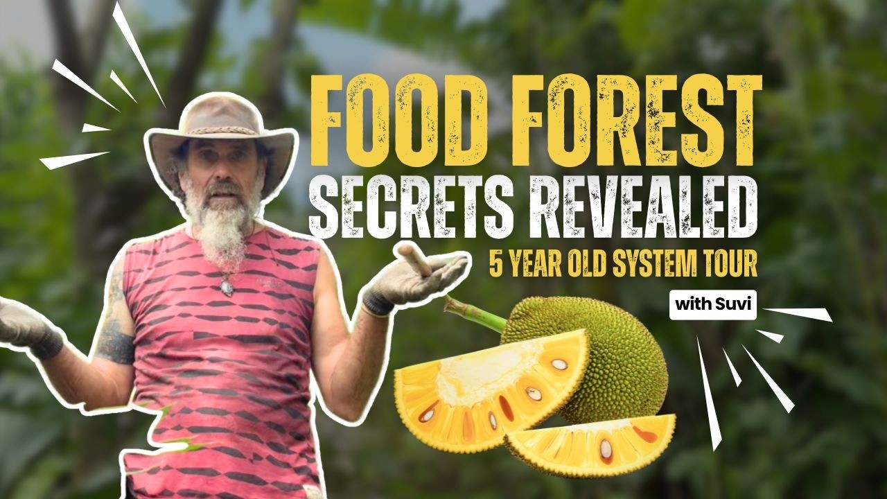 Transforming Grassland into a Lush Food Forest: Suvi's Journey