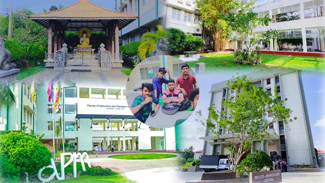 වයඹ විශ්වවිද්‍යාලයේ දවසක් 🍃👨‍💻Wayaba University,Makandura Premises🌍 😎Vlog 14 🔥 