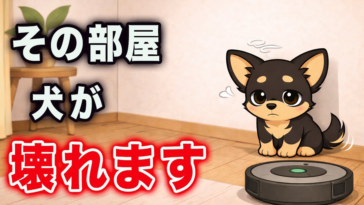 【2025年最新版】犬を不幸にする絶対NGな部屋作り5選