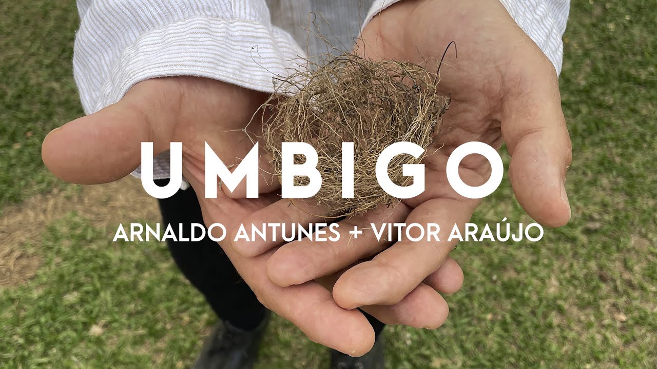 Arnaldo Antunes + Vitor Araújo - Umbigo (Visualizer Oficial / Lyric Video)