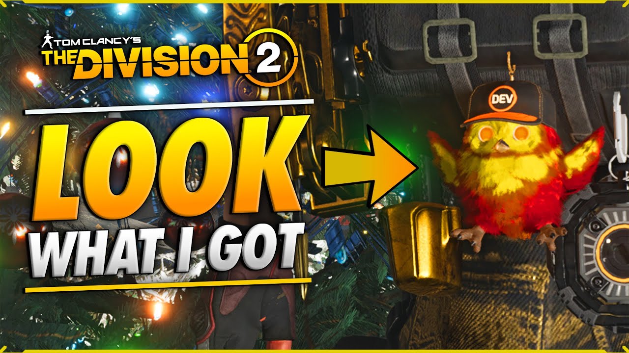 How to GET THE DEV Backpack Trophy? | The Division 2 全境封锁2