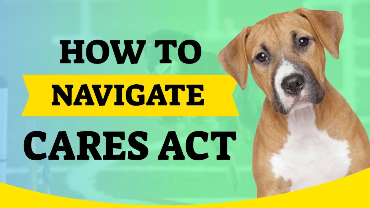 What You Need to Know About COVID-19 CARES Act Tax | Interview with Shannon Tacher