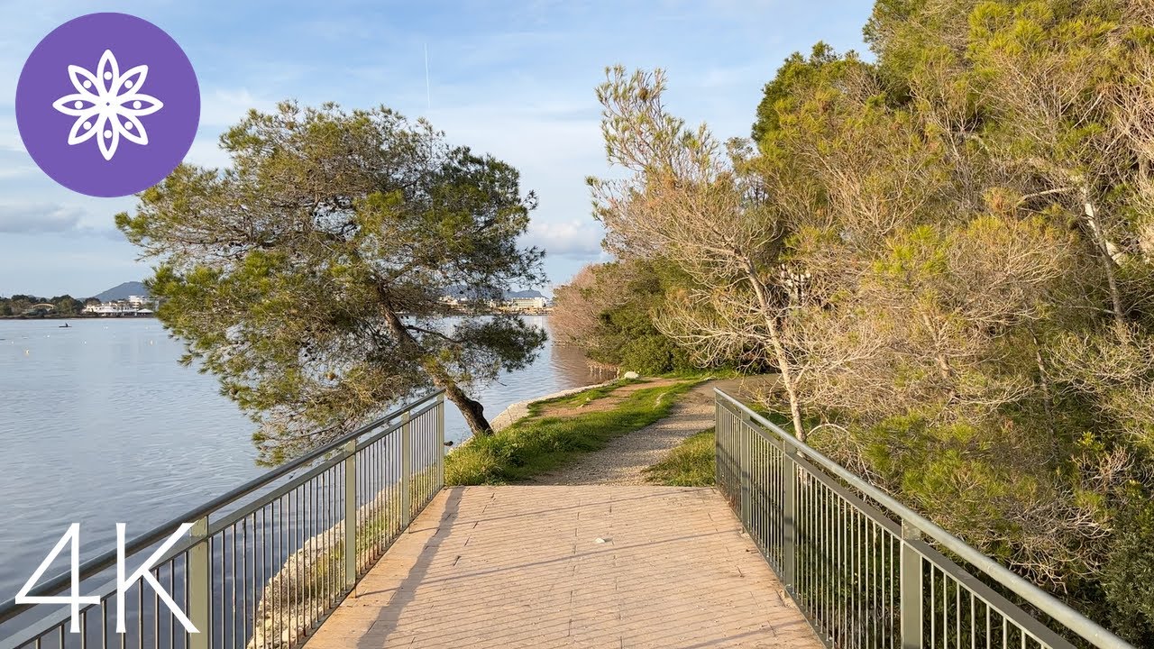Mallorca 4K 60fps // Walk in Alcudia Grand Lake (S'Estany Gran, Platja d'Alcudia)