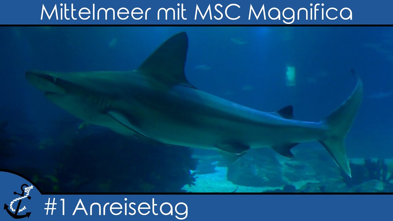 Kreuzfahrt-Vlog - Ins Mittelmeer mit MSC Magnifica 2017 #1 Anreise und Lissabon