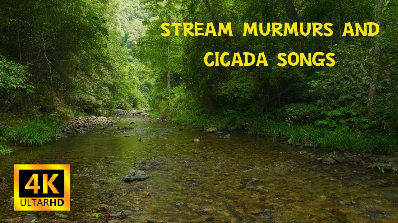 End-of-Summer Serenity: Stream Murmurs and Cicada Songs
