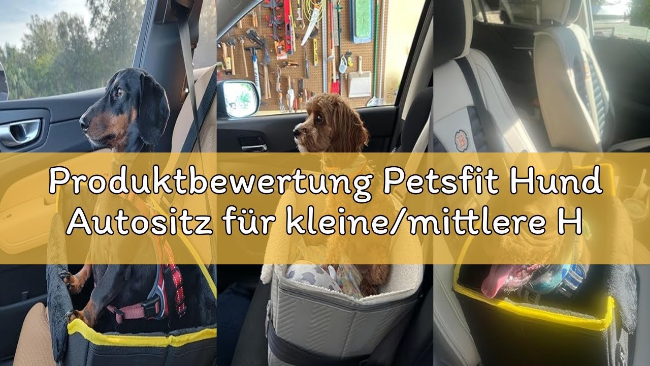 Produktbewertung Petsfit Hund Autositz für kleine/mittlere Hunde, Stabiler Sicherer Hundesitz Auto r