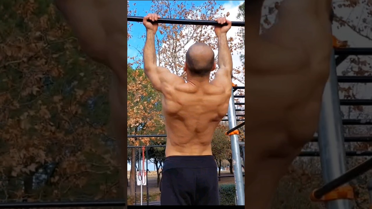 Dominadas supinas para tu ESPALDA  💪