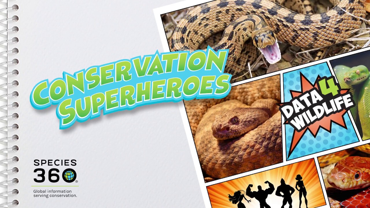 Snake Conservation Data4Wildlife Hero - Murthy Kantimahanti