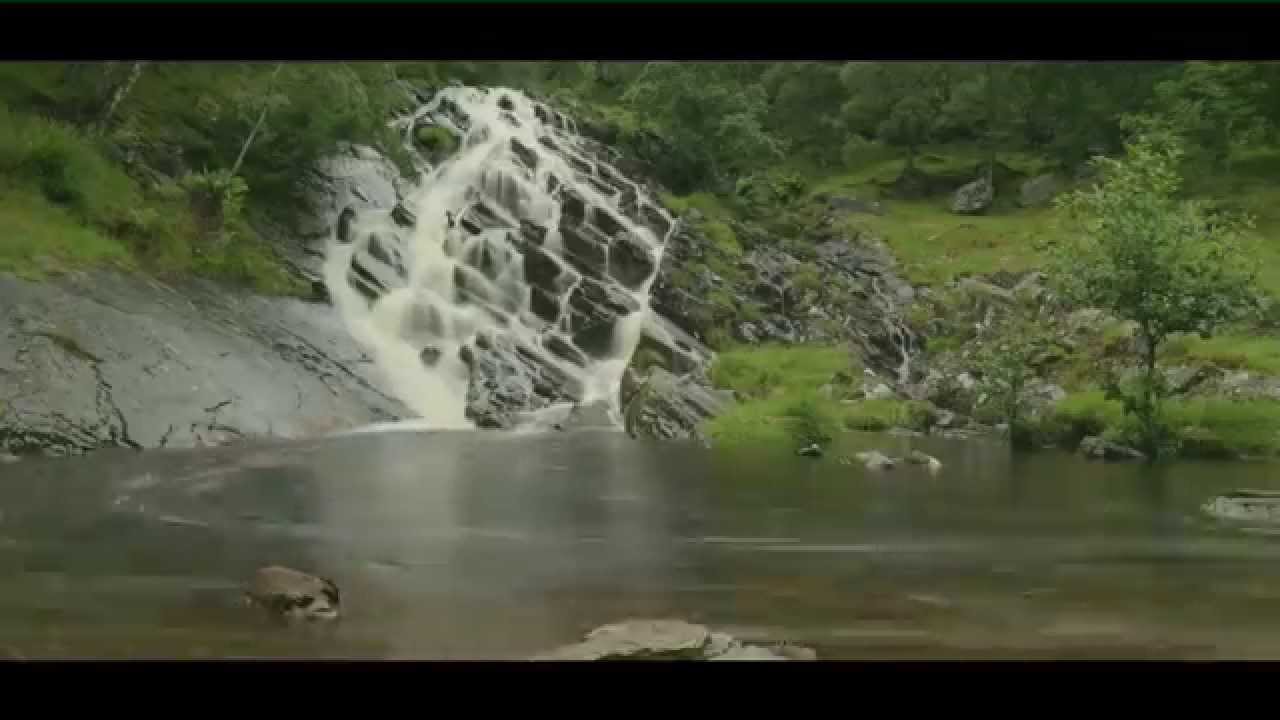 The Invisible World -  Salmon & Trout Conservation UK