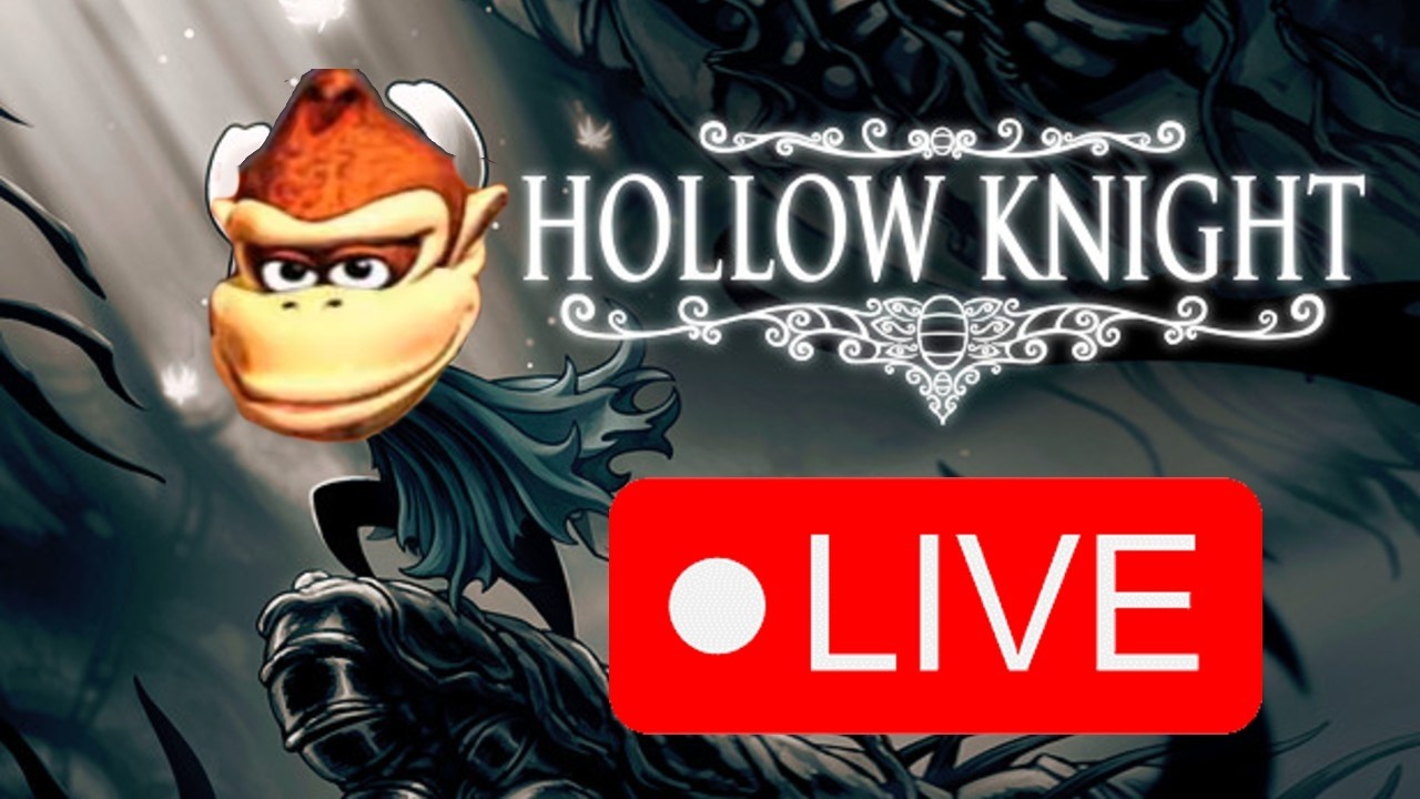 My first Hollow Knight randomizer