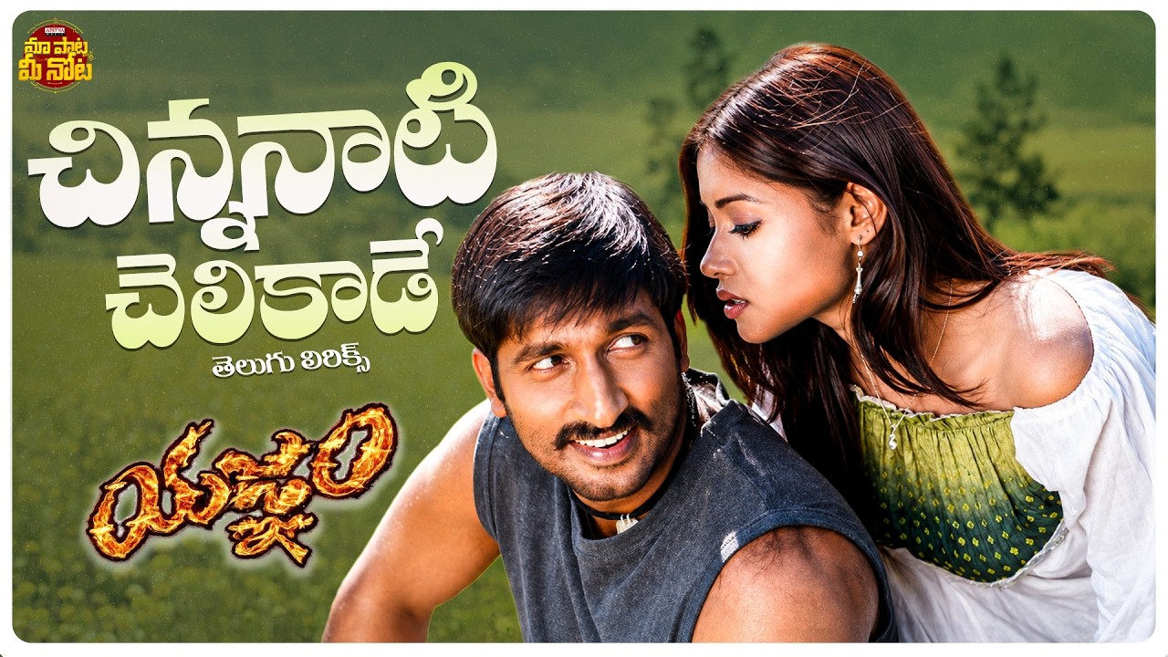 Chinnanati Chelikade Song Telugu Lyrics | Yagnam | Gopichand,Sameera Banerjee| Mani Sharma | SP Balu