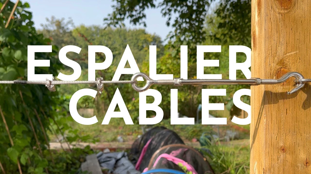 Making a cable system for espalier trees
