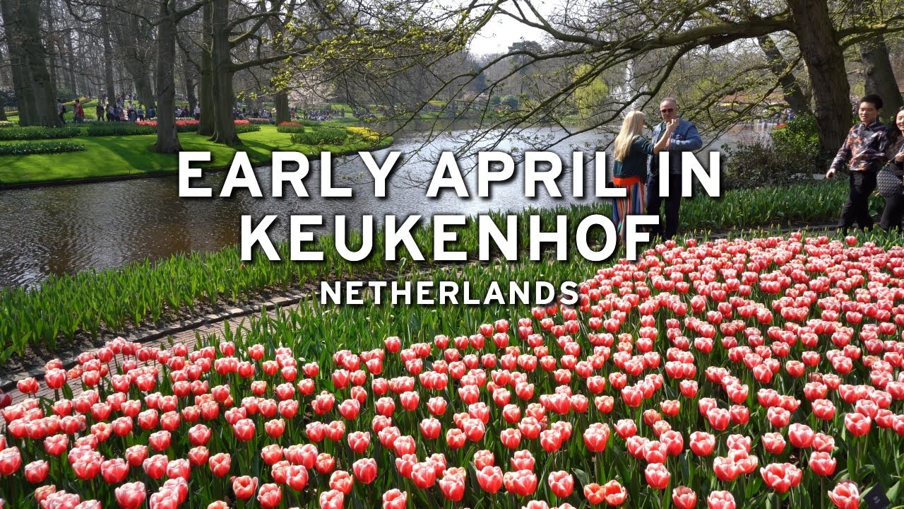 🇳🇱 Early April in Keukenhof - Netherlands  [4K]