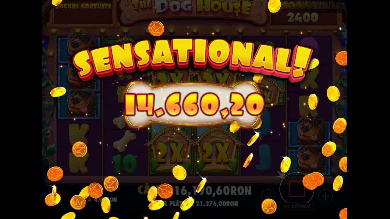 ALEX SLOTS - DOG HOUSE MEGAWAYS - CASTIG RECORD !!! #PACANELE #SLOTS