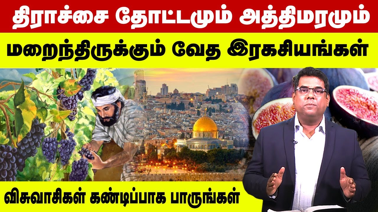 திராச்சை தோட்டமும் அத்திமரமும் மறைந்திருக்கும் வேத இரகசியங்கள் | Bro.MD Jegan