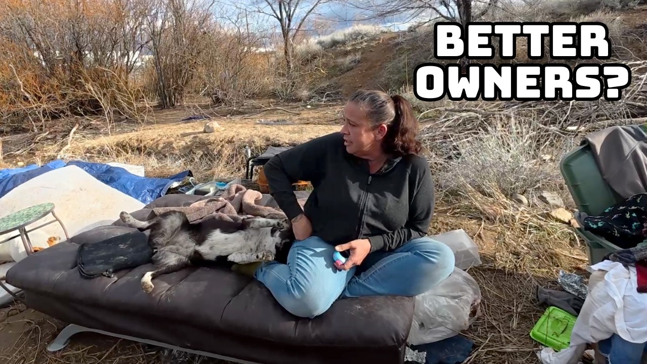 Homeless People and Their Pets...