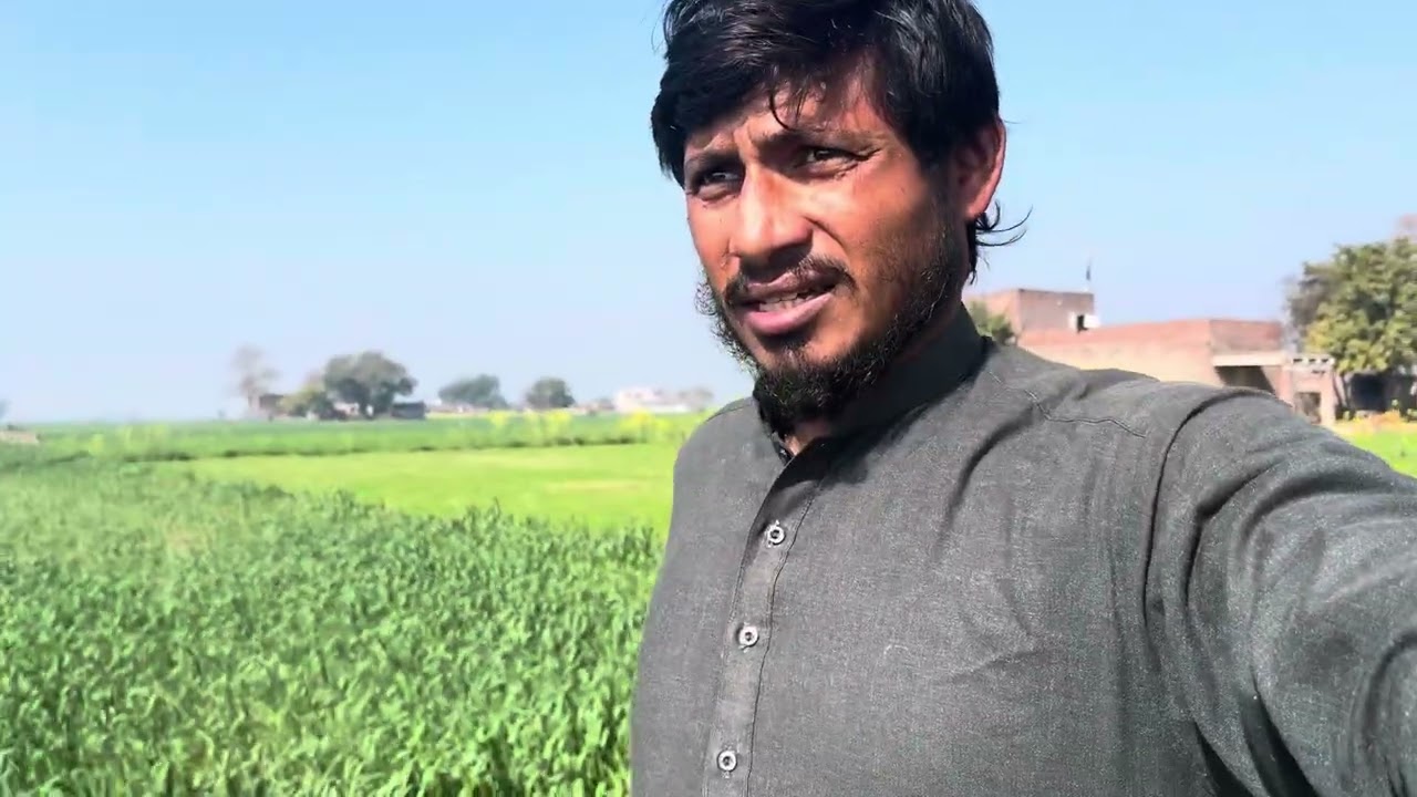 Bakray thk ho ga ab ghus khna lag gay ab thk sa