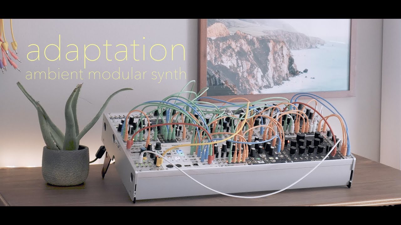 Adaptation [Ambient Generative Modular Synth]