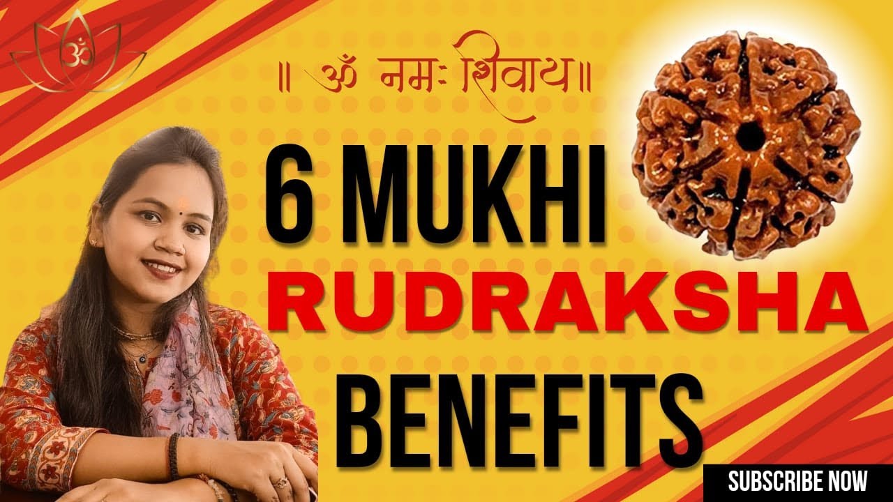 6 Mukhi Rudraksha Benefits |  6 मुखी रुद्राक्ष धारण करने के चमत्कारी फायदे #rudraksha #shivshakti