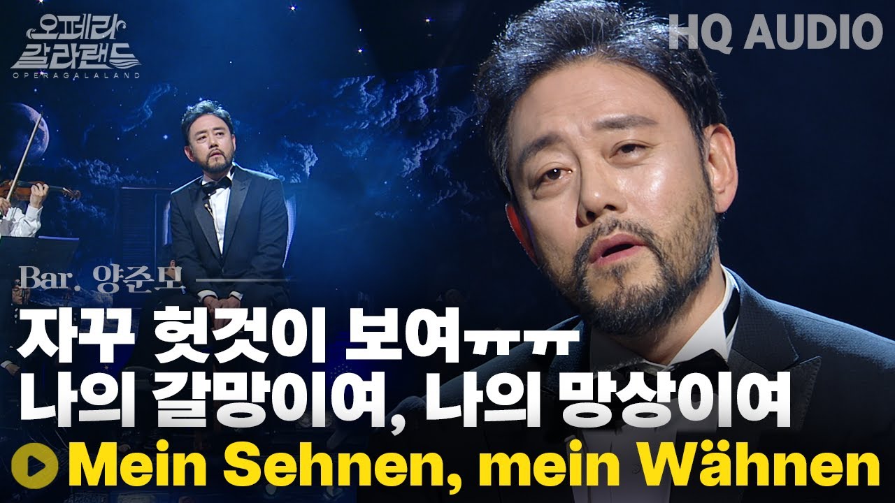 [ 오페라갈라랜드 2024 ]  Mein Sehnen, mein Wähnen  나의 갈망, 나의 망상 | KBS제주20250107방송