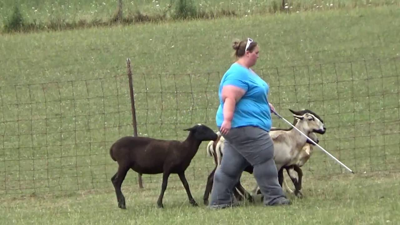 Kelly Malone trial skills clinic 07/24/16